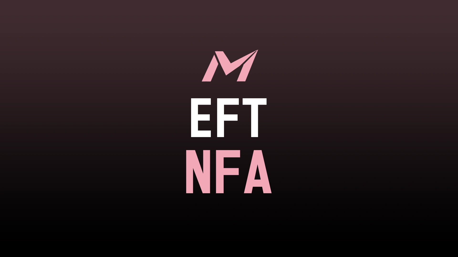 ESCAPE FROM TARKOV NFA